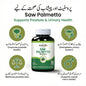 SAW PALLMETTO-X